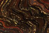 Polished Tiger Iron Stromatolite - ( Billion Years) #95890-1